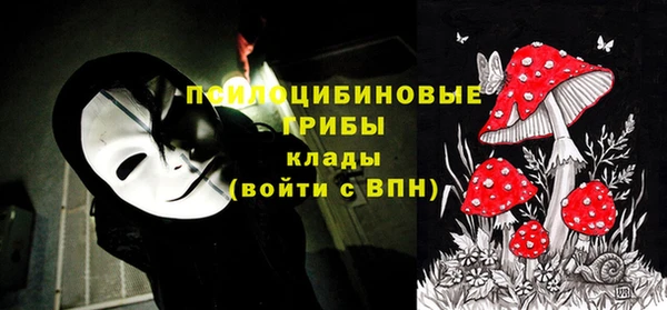 твердый Карталы