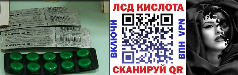 hydra ссылки закладки Шенкурск площадка формула Лсд 25 экстази ecstasy